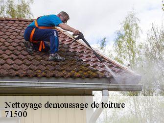 Nettoyage demoussage de toiture