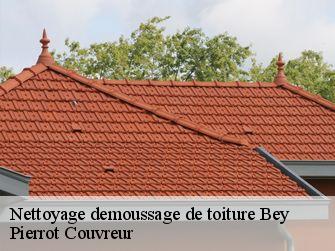 Nettoyage demoussage de toiture