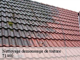 Nettoyage demoussage de toiture 71460