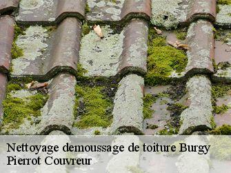 Nettoyage demoussage de toiture 71260