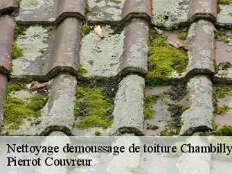 Nettoyage demoussage de toiture 71110