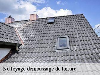 Nettoyage demoussage de toiture  71880