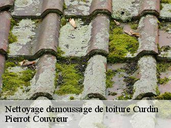 Nettoyage demoussage de toiture 71130