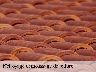 Nettoyage demoussage de toiture