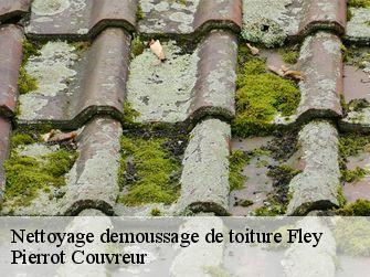 Nettoyage demoussage de toiture  71390