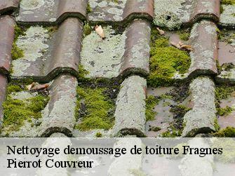 Nettoyage demoussage de toiture 71530