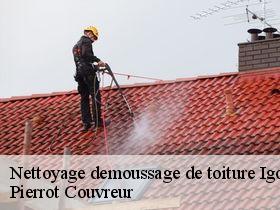 Nettoyage demoussage de toiture igornay-71540 Pierrot Couvreur
