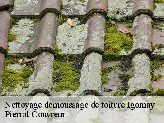 Nettoyage demoussage de toiture 71540