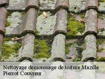 Nettoyage demoussage de toiture 71250