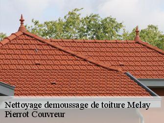 Nettoyage demoussage de toiture