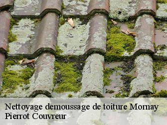 Nettoyage demoussage de toiture 71220