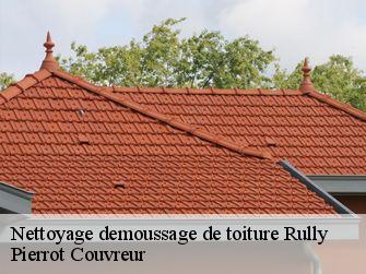 Nettoyage demoussage de toiture