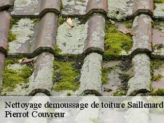 Nettoyage demoussage de toiture 71580