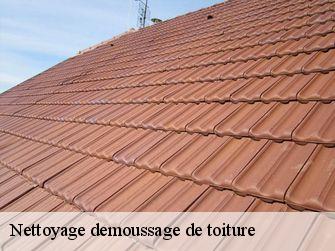 Nettoyage demoussage de toiture