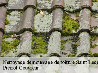 Nettoyage demoussage de toiture 71990