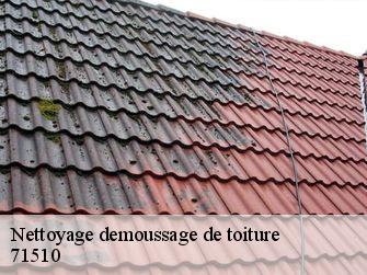 Nettoyage demoussage de toiture 71510