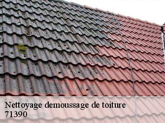 Nettoyage demoussage de toiture 71390