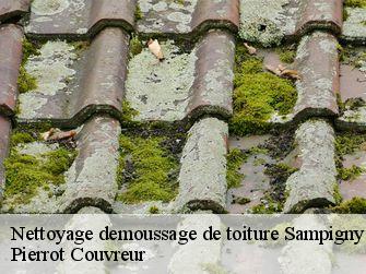 Nettoyage demoussage de toiture 71150