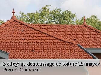 Nettoyage demoussage de toiture