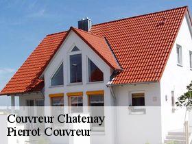 Couvreur  chatenay-71800 Pierrot Couvreur
