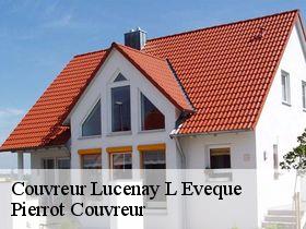 Couvreur lucenay-l-eveque-71540 Pierrot Couvreur