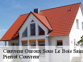 Couvreur ouroux-sous-le-bois-sainte-m-71800 Pierrot Couvreur