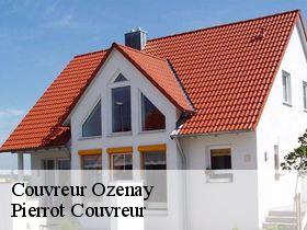 Couvreur  ozenay-71700 Pierrot Couvreur