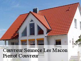 Couvreur  sennece-les-macon-71000 Pierrot Couvreur