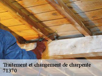 Traitement et changement de charpente  71370