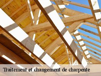 Traitement et changement de charpente  71380