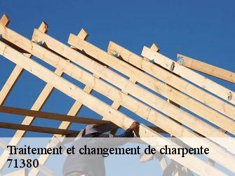 Traitement et changement de charpente  71380