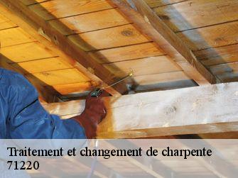 Traitement et changement de charpente  71220