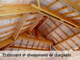 Traitement et changement de charpente