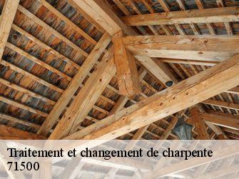 Traitement et changement de charpente