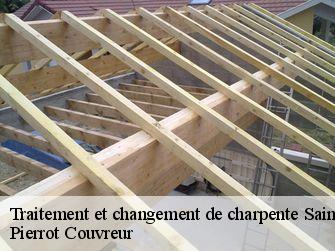 Traitement et changement de charpente