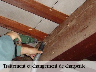 Traitement et changement de charpente