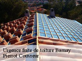Urgence fuite de toiture  barnay-71540 Pierrot Couvreur
