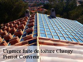 Urgence fuite de toiture  changy-71120 Pierrot Couvreur