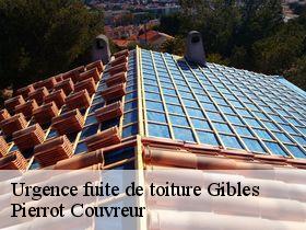 Urgence fuite de toiture  gibles-71800 Pierrot Couvreur