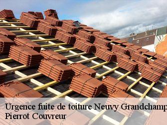 Urgence fuite de toiture 71130