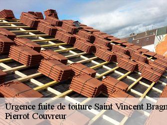 Urgence fuite de toiture 71430
