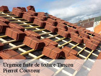 Urgence fuite de toiture 71740