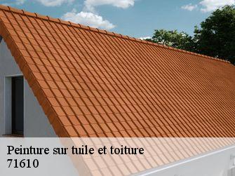 Peinture sur tuile et toiture  71610