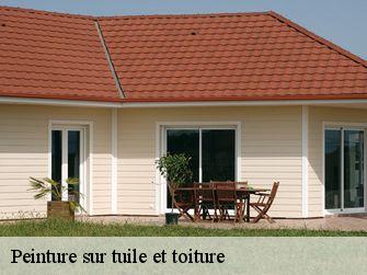 Peinture sur tuile et toiture  71550