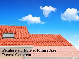 Peinture sur tuile et toiture  71260