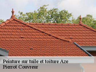 Peinture sur tuile et toiture