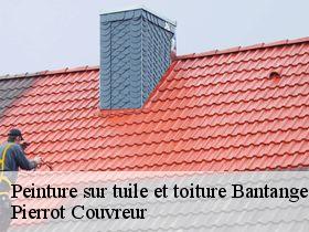 Peinture sur tuile et toiture  bantanges-71500 Pierrot Couvreur