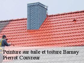 Peinture sur tuile et toiture  barnay-71540 Pierrot Couvreur