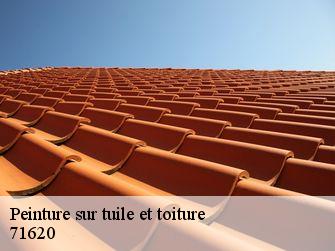 Peinture sur tuile et toiture  71620