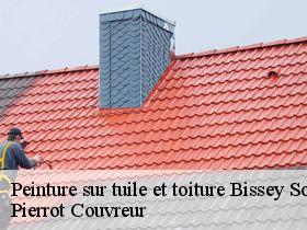 Peinture sur tuile et toiture bissey-sous-cruchaud-71390 Pierrot Couvreur